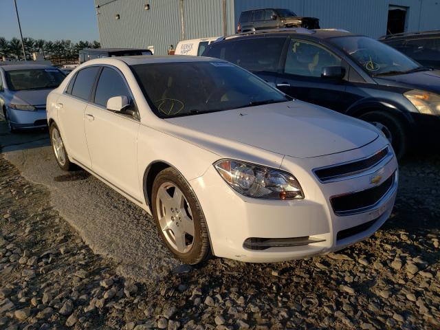 CHEVROLET MALIBU 2LT 2010 1g1zd5e78af158334