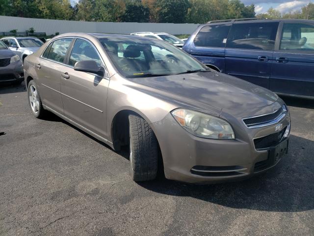 CHEVROLET MALIBU 2LT 2010 1g1zd5e79af174526