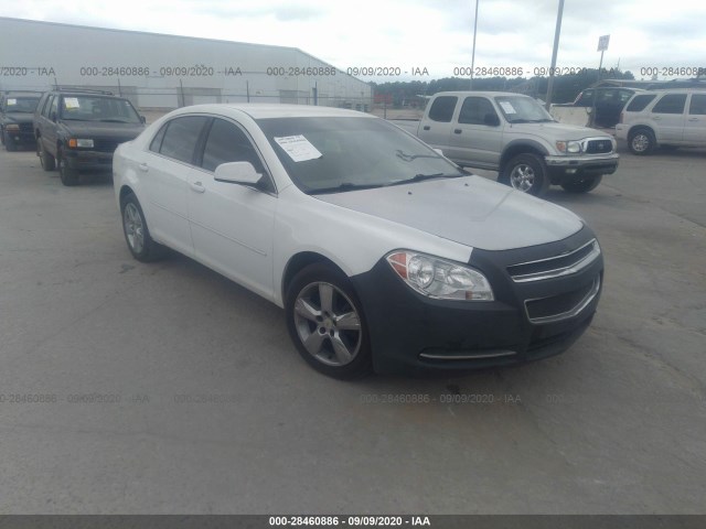 CHEVROLET MALIBU 2010 1g1zd5eb0a4129068