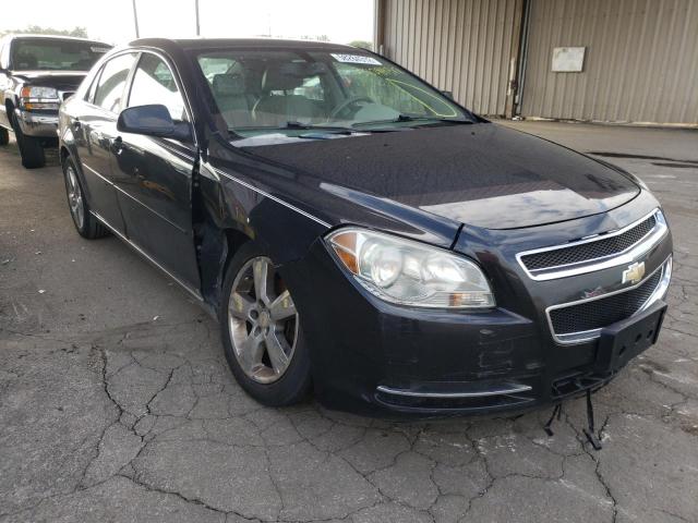 CHEVROLET MALIBU 2LT 2010 1g1zd5eb0af113876