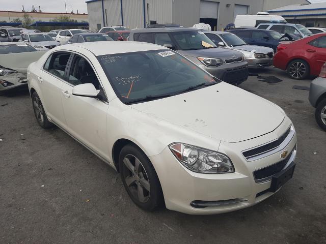 CHEVROLET MALIBU 2LT 2010 1g1zd5eb0af134906