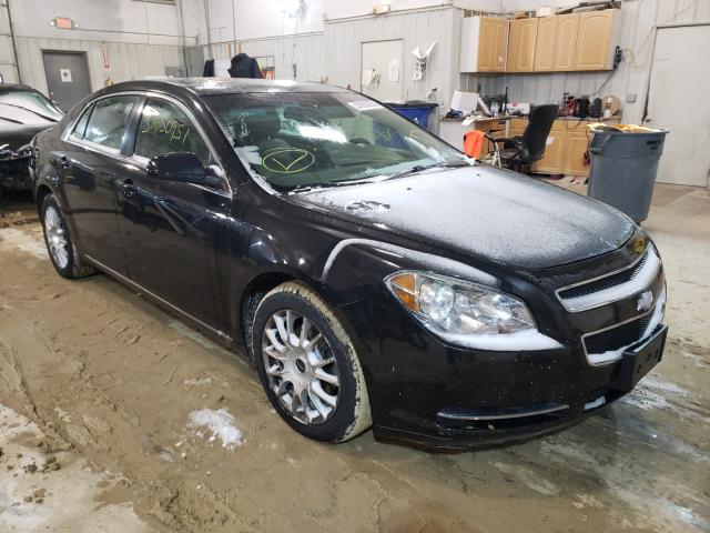 CHEVROLET MALIBU 2LT 2010 1g1zd5eb0af144335