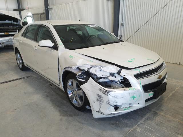 CHEVROLET MALIBU 2LT 2010 1g1zd5eb0af147641