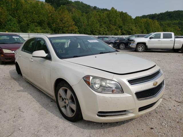 CHEVROLET MALIBU 2LT 2010 1g1zd5eb0af249859