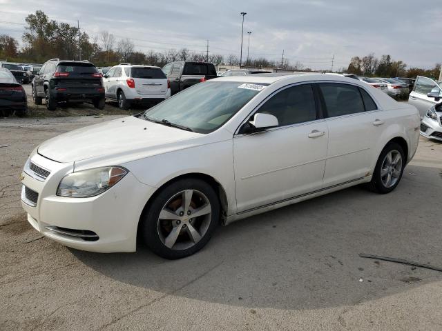 CHEVROLET MALIBU 2010 1g1zd5eb0af250994