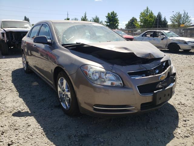 CHEVROLET MALIBU 2LT 2010 1g1zd5eb0af305573