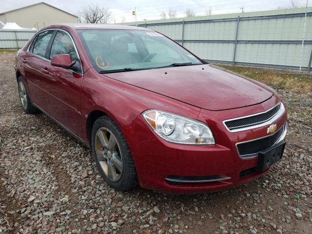 CHEVROLET MALIBU 2LT 2010 1g1zd5eb0af311566