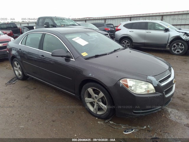 CHEVROLET MALIBU 2010 1g1zd5eb1a4137440