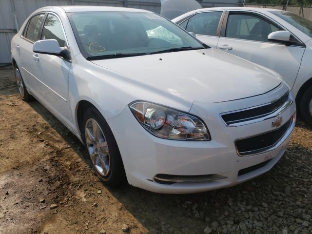 CHEVROLET MALIBU 2LT 2010 1g1zd5eb1af144182