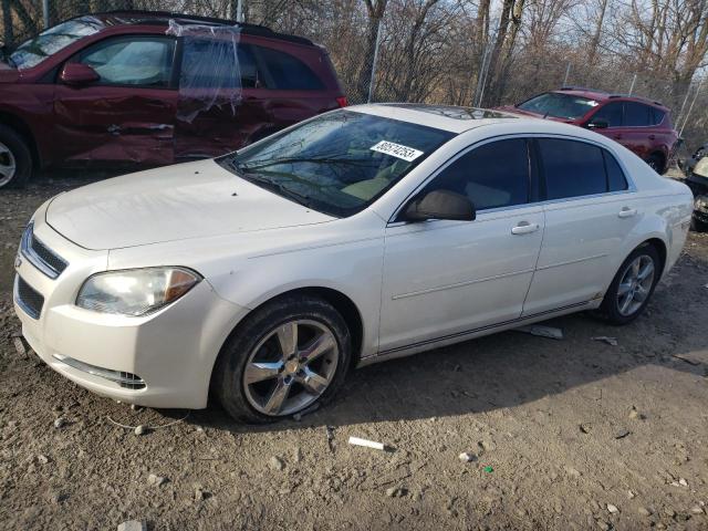 CHEVROLET MALIBU 2010 1g1zd5eb1af208365