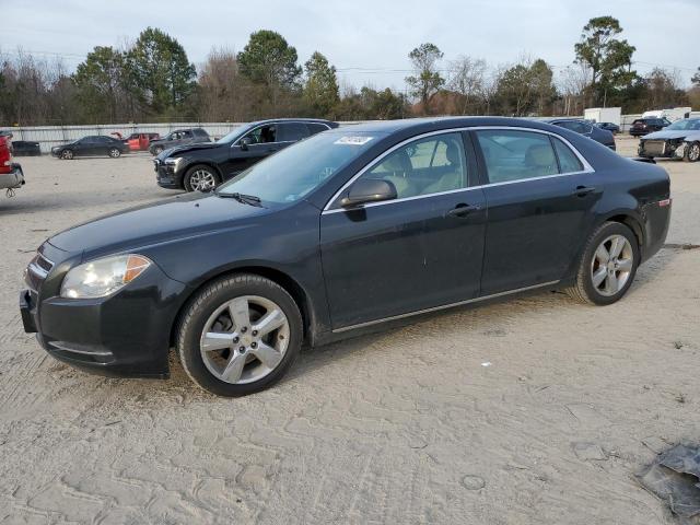 CHEVROLET MALIBU 2LT 2010 1g1zd5eb1af269361