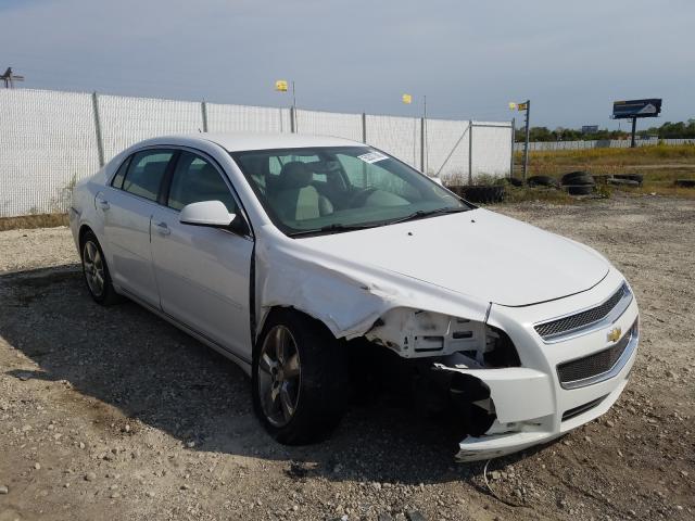 CHEVROLET MALIBU 2LT 2010 1g1zd5eb1af291036