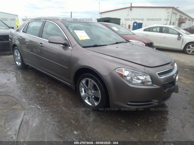 CHEVROLET MALIBU 2010 1g1zd5eb1af295099