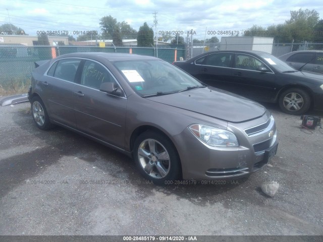 CHEVROLET MALIBU 2010 1g1zd5eb1af305386