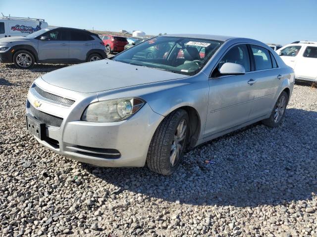 CHEVROLET MALIBU 2010 1g1zd5eb1af306246