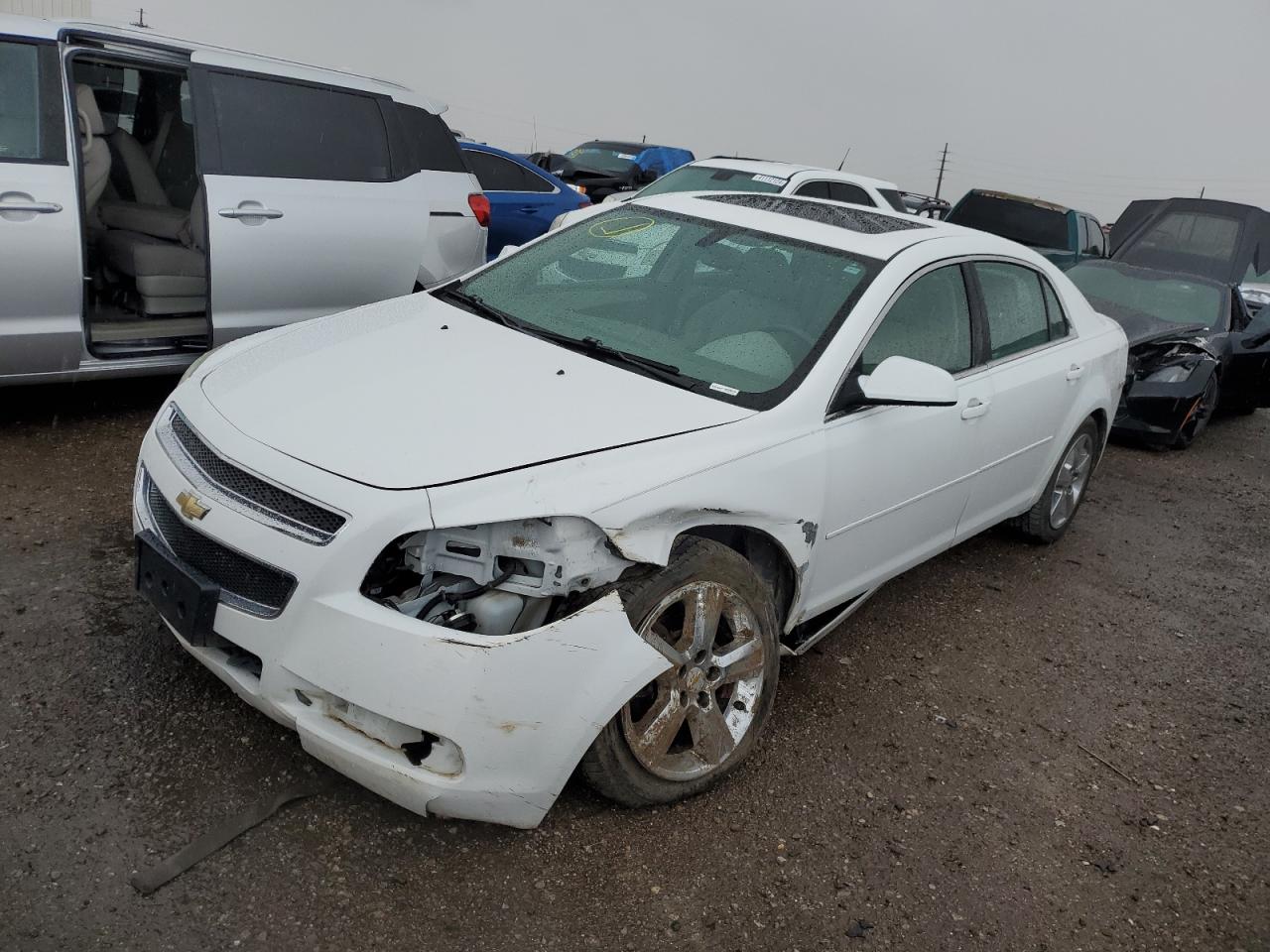 CHEVROLET MALIBU 2010 1g1zd5eb1af308143