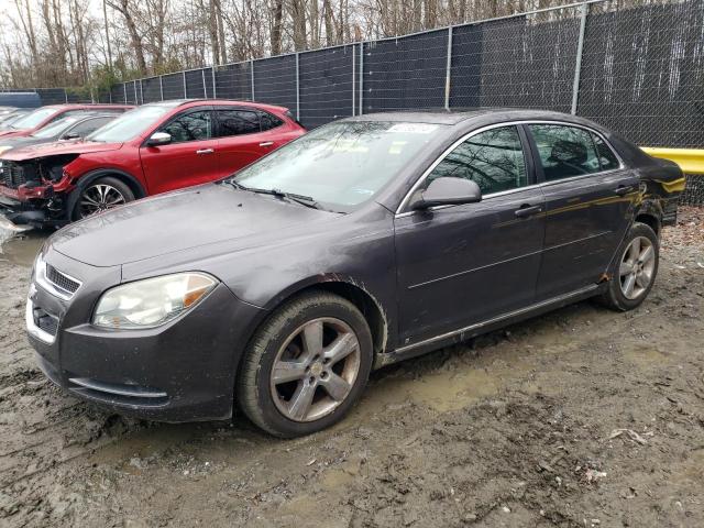 CHEVROLET MALIBU 2010 1g1zd5eb2a4110487