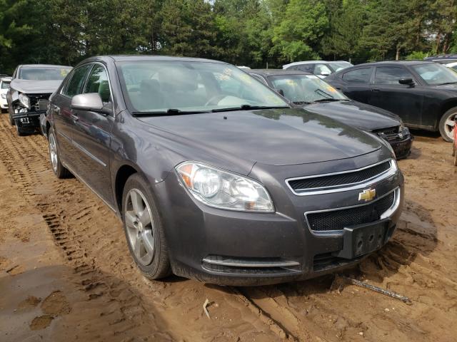 CHEVROLET MALIBU 2LT 2010 1g1zd5eb2a4131355