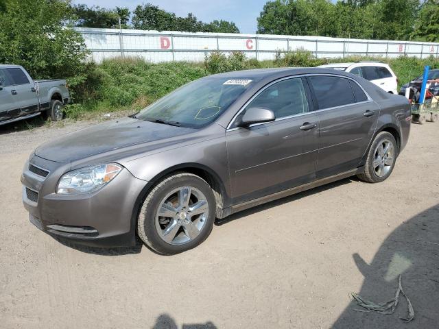 CHEVROLET MALIBU 2LT 2010 1g1zd5eb2af128069