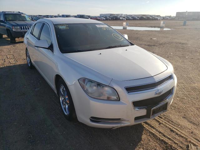 CHEVROLET MALIBU 2010 1g1zd5eb2af133384