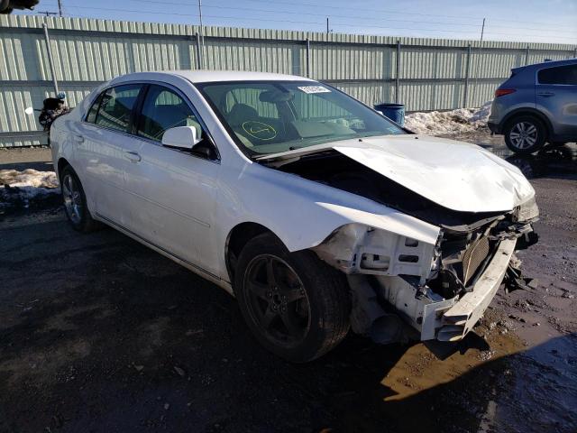 CHEVROLET MALIBU 2010 1g1zd5eb2af133952