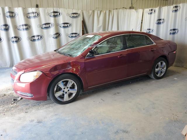 CHEVROLET MALIBU 2010 1g1zd5eb2af142361