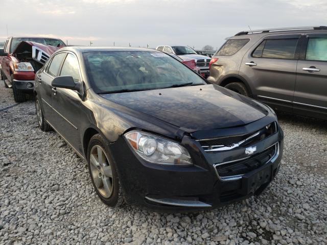 CHEVROLET MALIBU 2LT 2010 1g1zd5eb2af145826