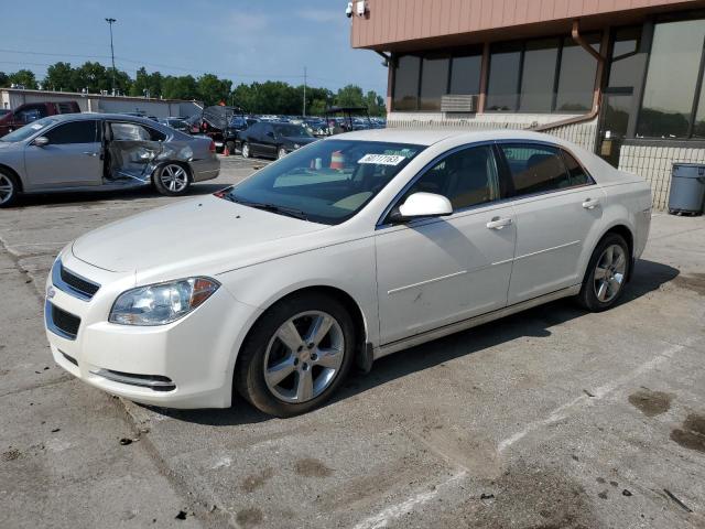 CHEVROLET MALIBU 2LT 2010 1g1zd5eb2af178485