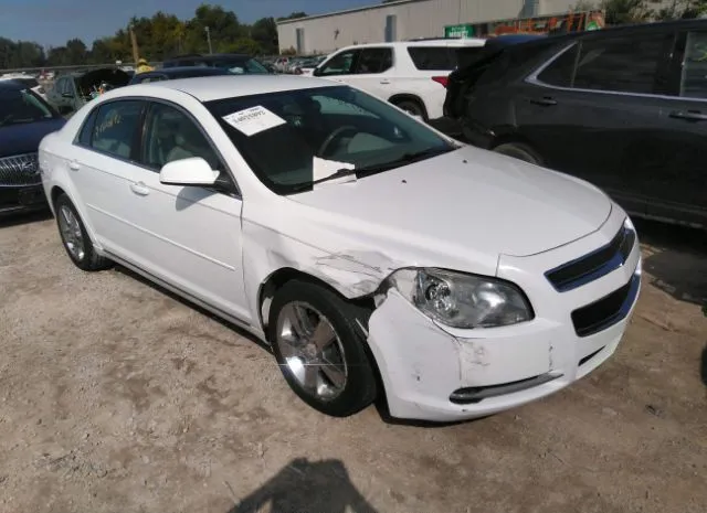 CHEVROLET MALIBU 2010 1g1zd5eb2af203465