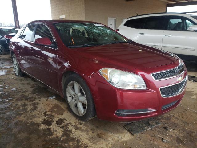 CHEVROLET MALIBU 2LT 2010 1g1zd5eb2af213557