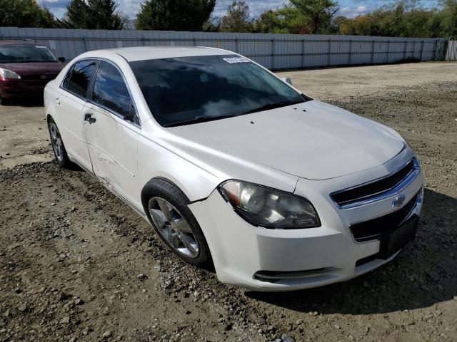 CHEVROLET MALIBU 2LT 2010 1g1zd5eb2af285729