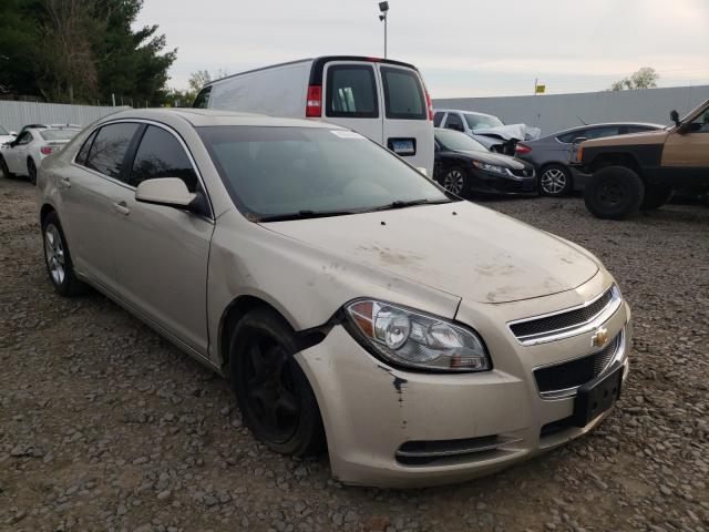 CHEVROLET MALIBU 2LT 2010 1g1zd5eb2af317353