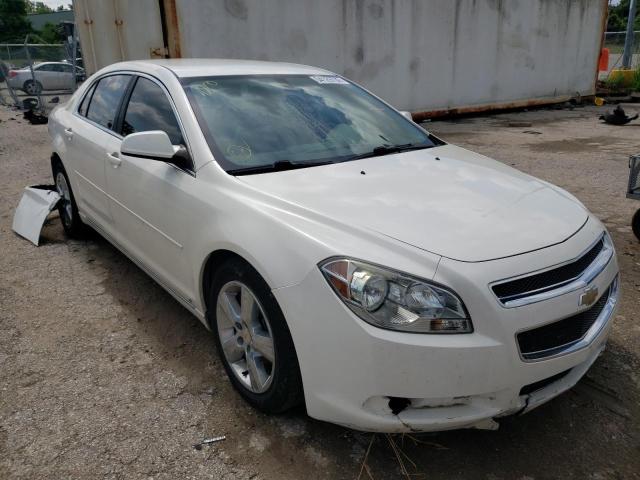 CHEVROLET MALIBU 2LT 2010 1g1zd5eb3af118506