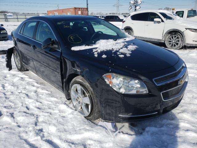 CHEVROLET MALIBU 2LT 2010 1g1zd5eb3af132616