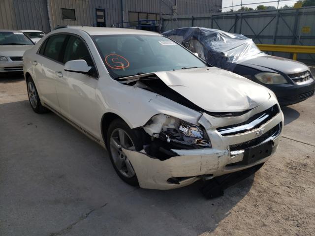 CHEVROLET MALIBU 2LT 2010 1g1zd5eb3af160626