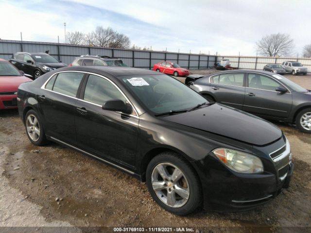 CHEVROLET MALIBU 2010 1g1zd5eb3af167639