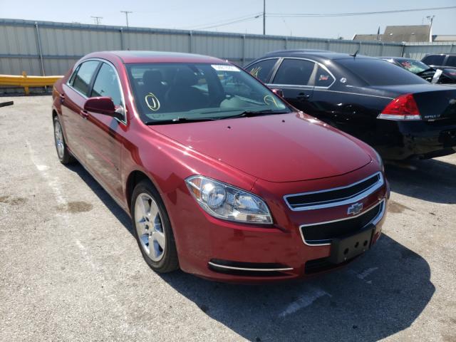 CHEVROLET MALIBU 2LT 2010 1g1zd5eb3af179242