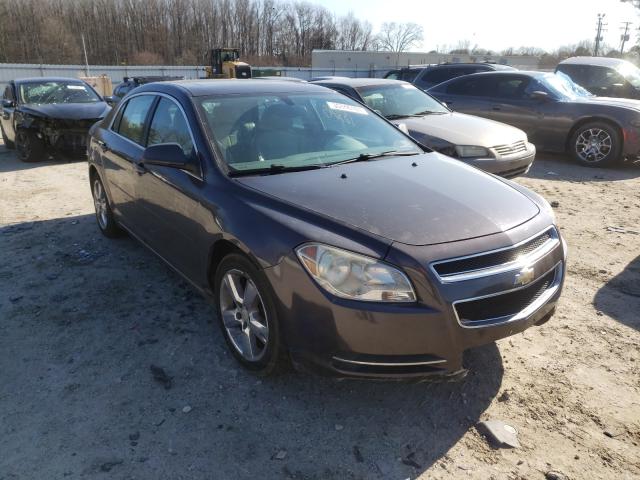 CHEVROLET MALIBU 2LT 2010 1g1zd5eb3af239410