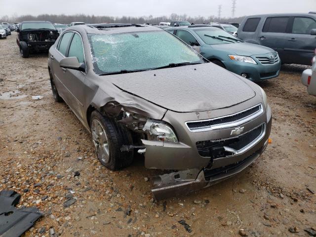 CHEVROLET MALIBU 2LT 2010 1g1zd5eb3af312386