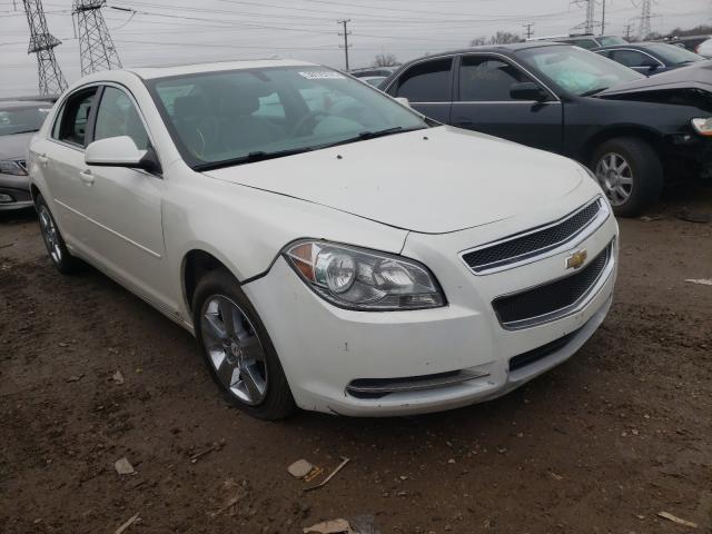 CHEVROLET MALIBU 2LT 2010 1g1zd5eb4af103741