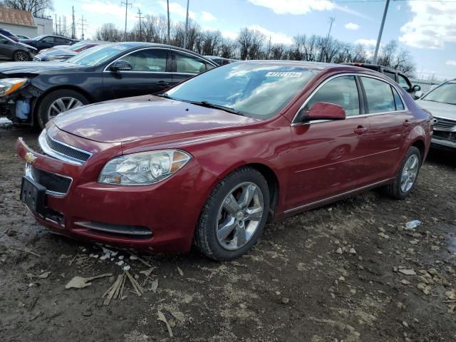 CHEVROLET MALIBU 2010 1g1zd5eb4af238444