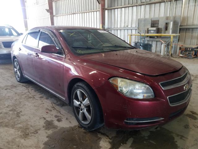 CHEVROLET MALIBU 2LT 2010 1g1zd5eb4af245510