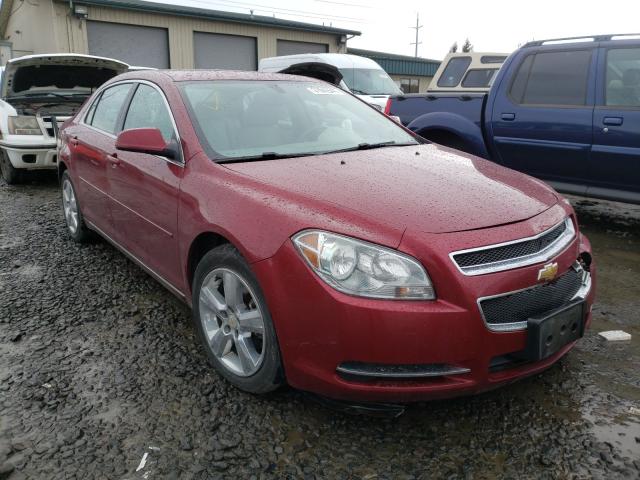 CHEVROLET MALIBU 2LT 2010 1g1zd5eb4af297588