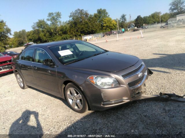 CHEVROLET MALIBU 2010 1g1zd5eb4af312400