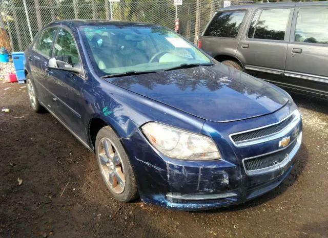 CHEVROLET MALIBU 2010 1g1zd5eb4af317175