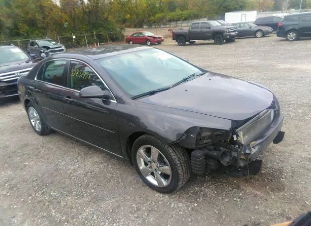 CHEVROLET MALIBU 2010 1g1zd5eb4af318276