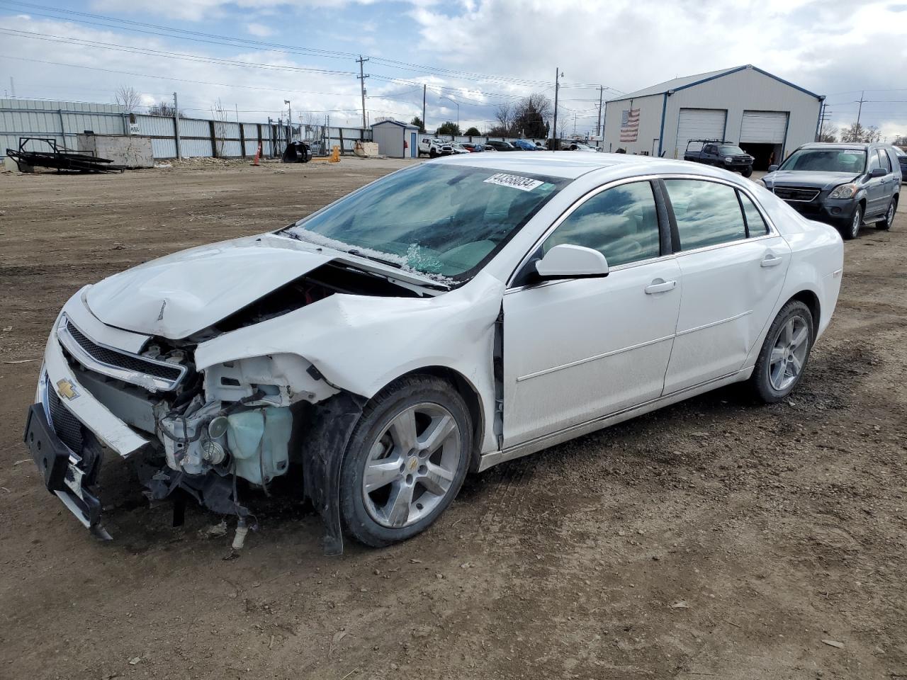 CHEVROLET MALIBU 2010 1g1zd5eb4af324921