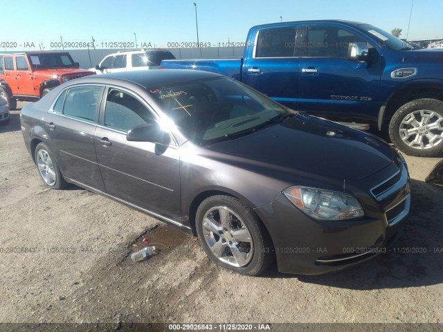 CHEVROLET MALIBU 2010 1g1zd5eb5a4159294