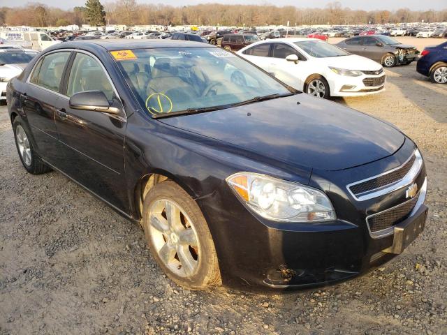 CHEVROLET MALIBU 2LT 2010 1g1zd5eb5af134299