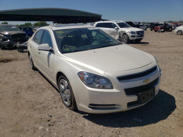 CHEVROLET MALIBU 2LT 2010 1g1zd5eb5af134514